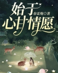 始于心甘情愿