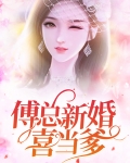 傅总新婚喜当爹