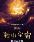 我的瓶中宇宙