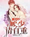 一婚成瘾:顾少请自重