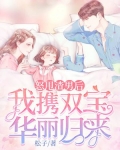怒甩渣男后,我携双宝华丽归来!