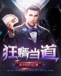 狂婿当道