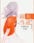 前夫当道