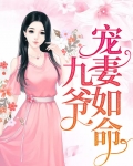 九爷宠妻如命