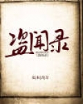 盗闻录