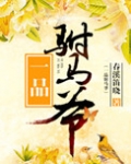 一品驸马爷