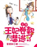 王爷,王妃卷款潜逃了