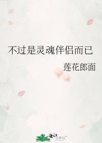 不过是灵魂伴侣而已 小说