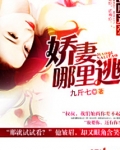 首席追爱:娇妻哪里逃