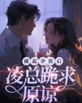 藏起孕肚后，凌总跪求原谅