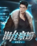 潜龙豪婿