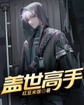 盖世高手