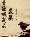 曹操喊我去盗墓