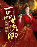 凤鸾锦谋:一品女少卿