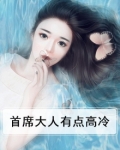 首席大人有点高冷