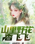 山里野花香飞飞