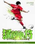 绿茵小将