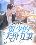 贺少的天价丑妻