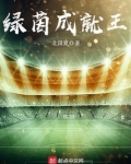 绿茵成就王