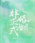 非正式婚姻