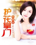 护花掌门在都市