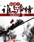 抗战之谁与争锋