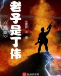 亮剑:老子是丁伟