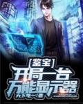 鉴宝：开局一台万能显示器