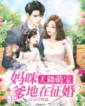 天降萌宝:妈咪,爹地在征婚
