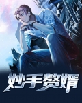 妙手赘婿