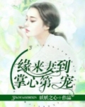 缘来妻到,掌心第一宠