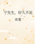 宁先生,好久不见