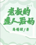老板的迷人后妈