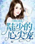 闪婚后,我成了陆少的心尖宠