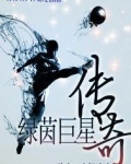 绿茵巨星传奇