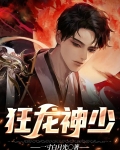 狂龙神少