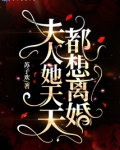 夫人她天天都想离婚