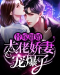 替嫁甜婚:大佬娇妻宠爆了
