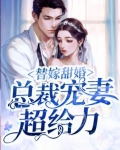 替嫁甜婚:总裁宠妻超给力
