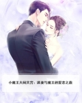 小魔王大闹天宫：逃妻与魔王的爱恋之旅