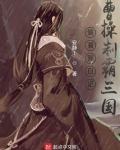 偷看我日记,曹操制霸三国