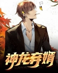 神龙弃婿