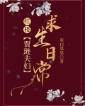 [红楼]贾琏夫妇求生日常