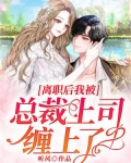离职后我被总裁上司缠上了