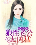 惹火契约:狼性老公太凶猛