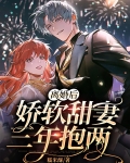 离婚后,娇软甜妻三年抱两