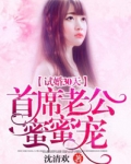 试婚30天:首席老公蜜蜜宠