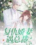 复仇娇妻遇总裁