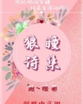 狼瞳诗集
