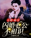 天降萌宝,闪婚老公不相识